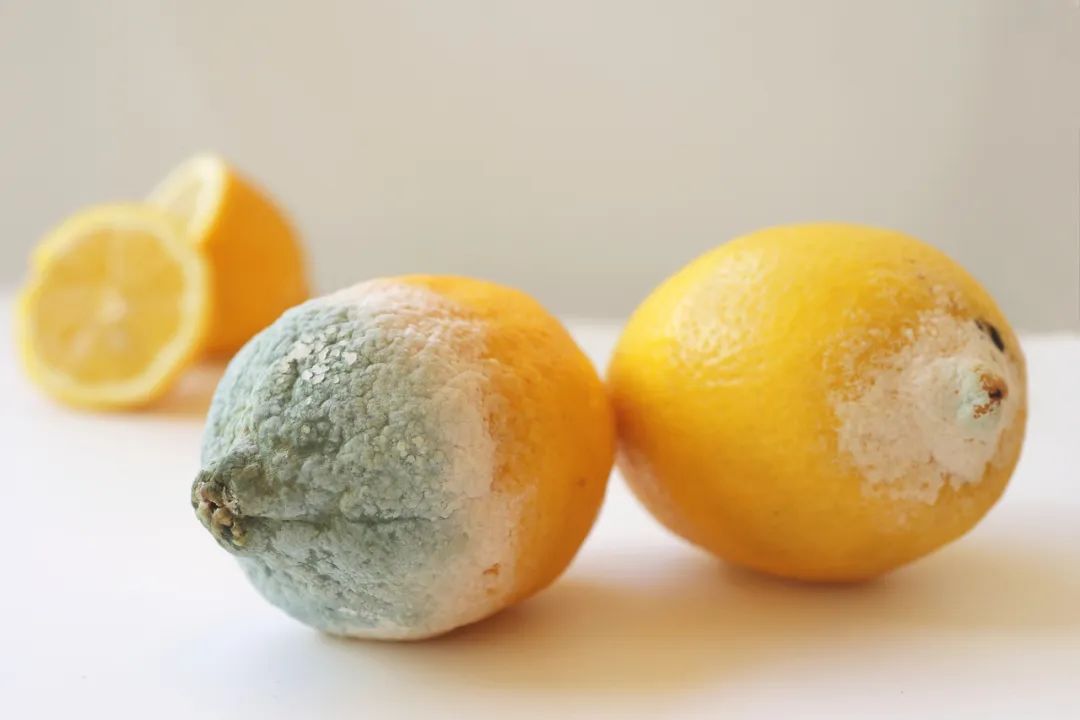 健康·科普 | 入夏预防食物中毒指南
